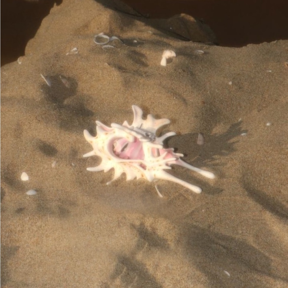 YVMIN Ripple / Conch Hair Claw original